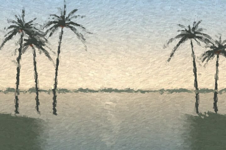 demo image: date palms morning
